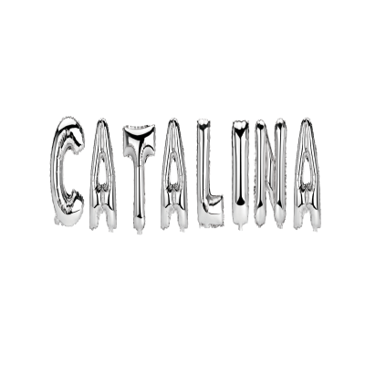 Set Baloane Litere Nume Catalina , Argintiu , 40Cm