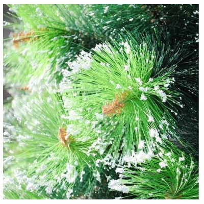 hover image